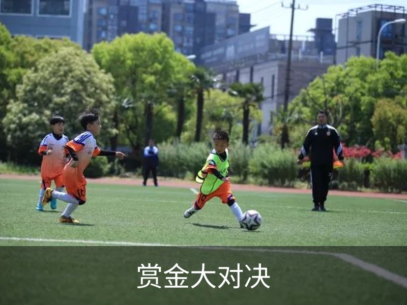 关于赏金大对决